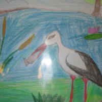 Zdjęcie ilustracyjne wiadomości: Konkurs plastyczny „Ptaki, ptaszki, ptaszyska” #42