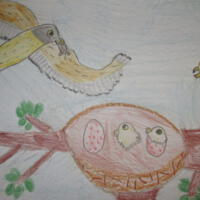 Zdjęcie ilustracyjne wiadomości: Konkurs plastyczny „Ptaki, ptaszki, ptaszyska” #61