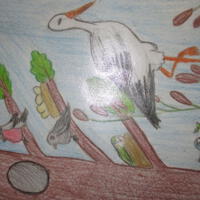 Zdjęcie ilustracyjne wiadomości: Konkurs plastyczny „Ptaki, ptaszki, ptaszyska” #63