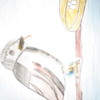 Zdjęcie ilustracyjne wiadomości: Konkurs plastyczny „Ptaki, ptaszki, ptaszyska” #68