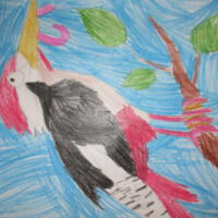 Zdjęcie ilustracyjne wiadomości: Konkurs plastyczny „Ptaki, ptaszki, ptaszyska” #71