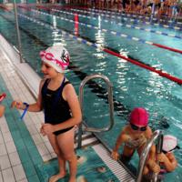 Zdjęcie ilustracyjne wiadomości: VI Pływackie zawody mikołajkowe pod patronatem Wójta Gminy Chełmiec #16