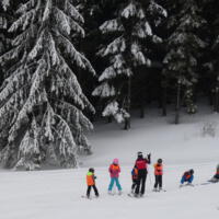 Zdjęcie ilustracyjne wiadomości: Kolejny weekend szkolenia nauki jazdy na nartach za nami! #108