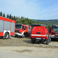 Pięć czerwonych samochodów strażackich ustawionych na poboczu drogi