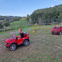 Festiwal radości dla dzieci w przedszkolu w Wielogłowach, dzieci bawią się na trawniku, korzystają z dmuchańców i innych atrakcji