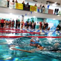Powiatowe Mistrzostwa Pływackie