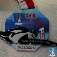 Zdjęcie ilustracyjne wiadomości: Mistrzostwa Pływackie Gminy Chełmiec. #1
