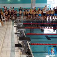 Zdjęcie ilustracyjne wiadomości: Mistrzostwa Pływackie Gminy Chełmiec. #12