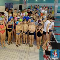 Zdjęcie ilustracyjne wiadomości: Mistrzostwa Pływackie Gminy Chełmiec. #17