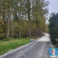 Droga asfaltowo betonowa - po obu stronach zielone drzewa