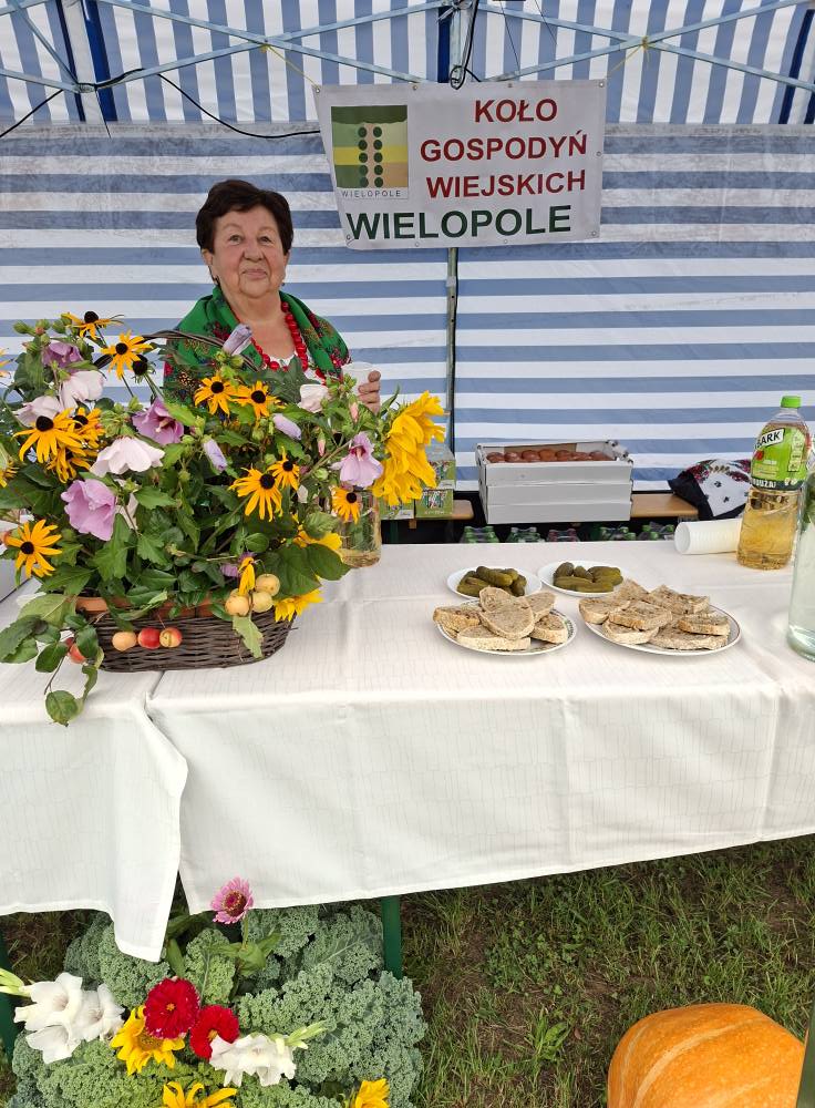  Integracyjny Piknik Wielopolan 2025 w Wielopolu