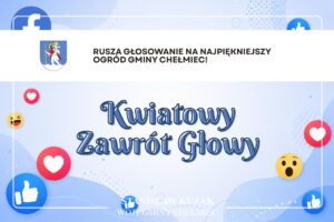głosowanie