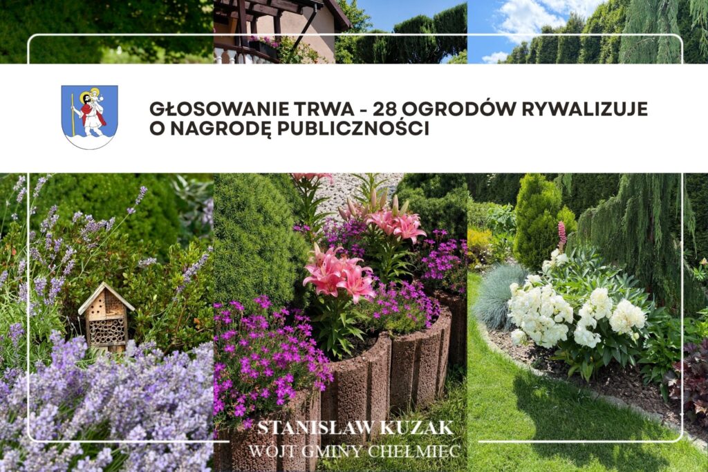głosowanie