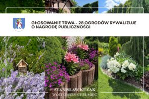 głosowanie